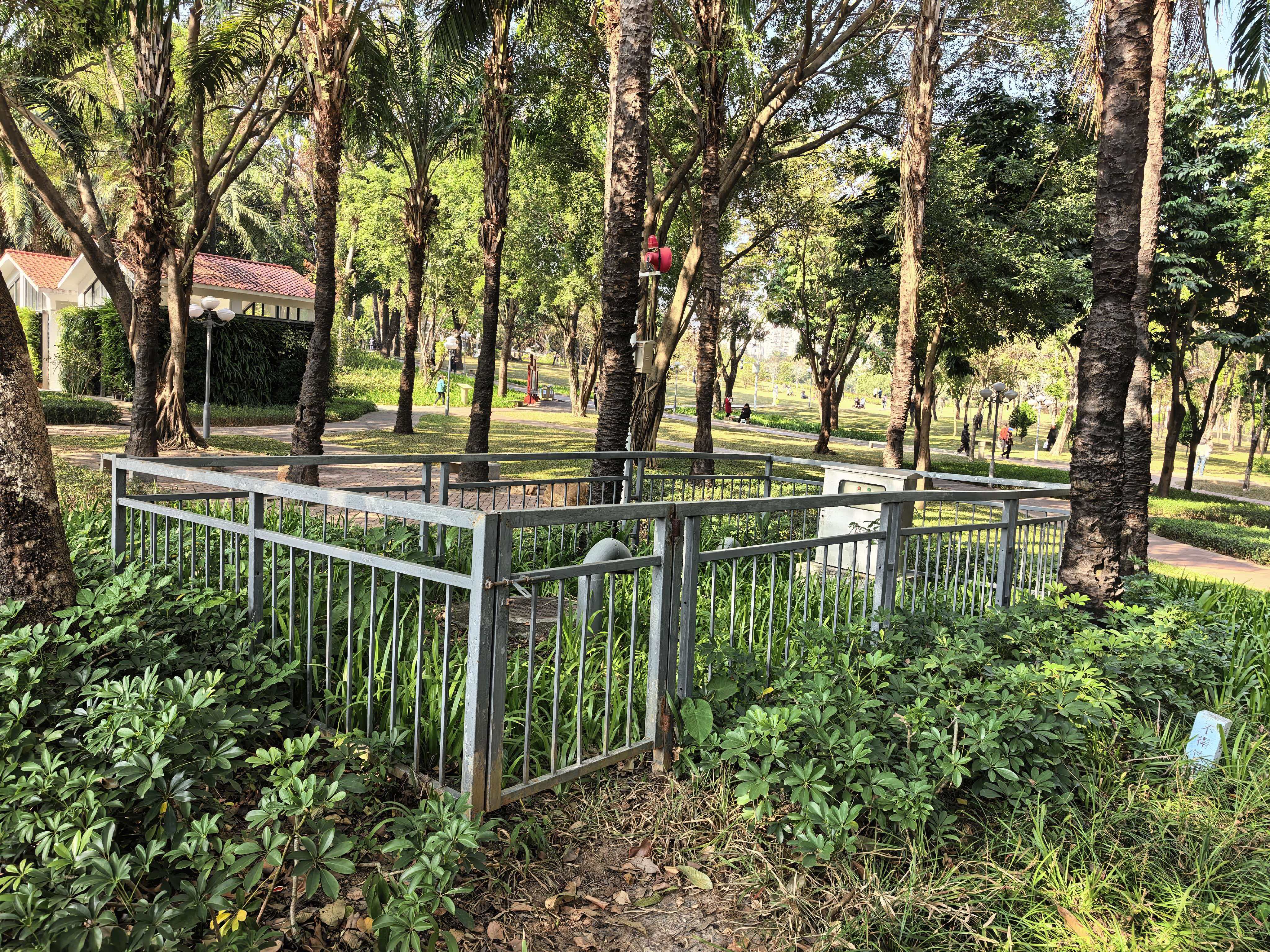 今天工作很饱满,看了几个项目的现场