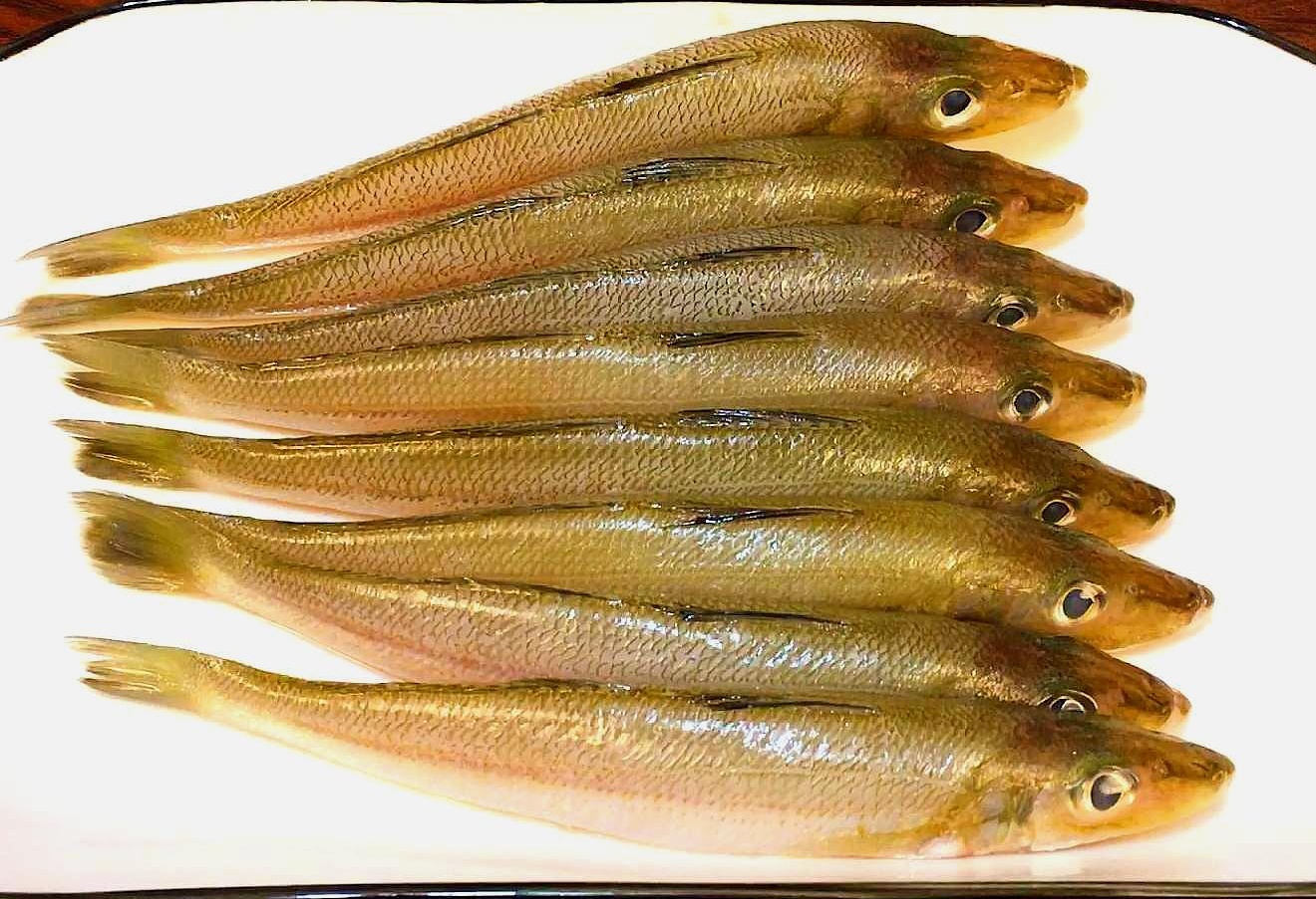 深圳海钓入门——滩钓篇：从零起步到钓获沙尖